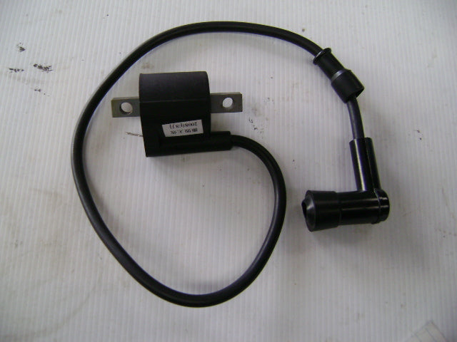 Coil - 4 stroke engines - 2 bolt mount