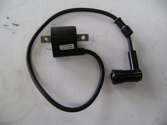 Coil -  4 stroke engines - 2 bolt mount